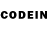 Псилоцибиновые грибы GOLDEN TEACHER Olowek pl